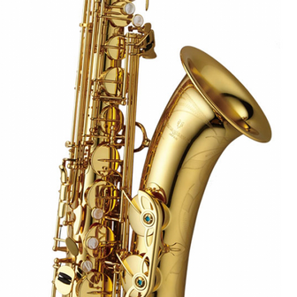 Yanagisawa T-WO1 Professional Tenorsaxofoon - Opheffingsuitverkoop