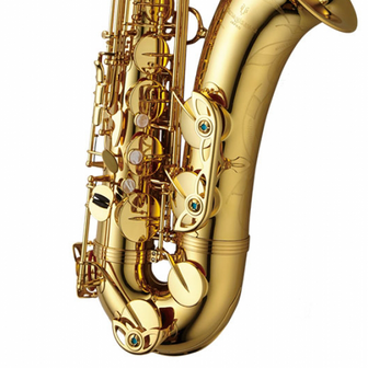 Yanagisawa T-WO1 Professional Tenorsaxofoon - Opheffingsuitverkoop