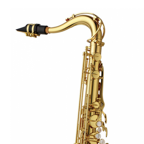 Yanagisawa T-WO1 Professional Tenorsaxofoon - Opheffingsuitverkoop