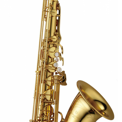 Yanagisawa T-WO1 Professional Tenorsaxofoon - Opheffingsuitverkoop