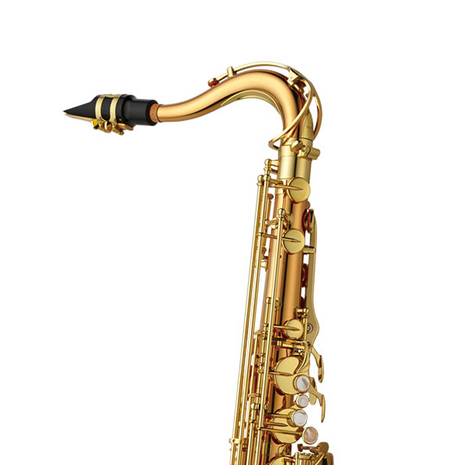 Yanagisawa T-WO2 Professional Tenorsaxofoon - Opheffingsuitverkoop