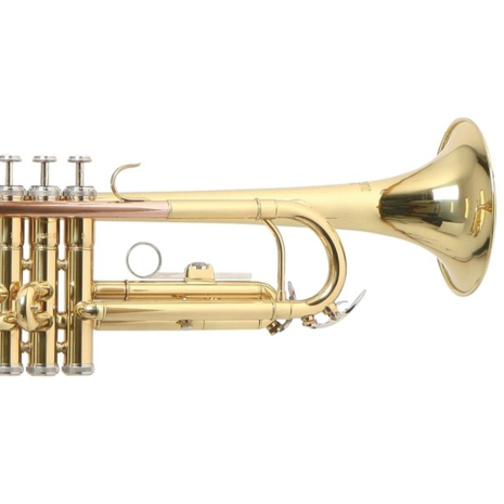 Roy Benson TR101 Trompet