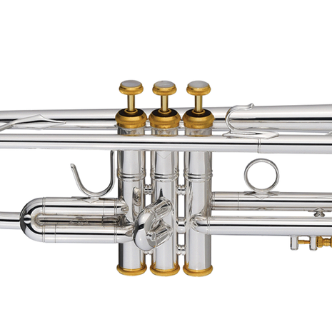Vincent Bach 190S-43W2 "Centennial" Stradivarius Trompet