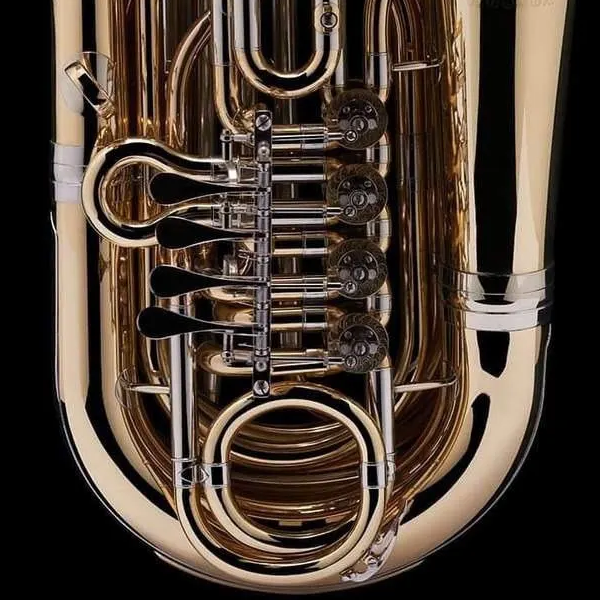 Wessex Mighty Midget Bastuba De Blaasinstrumentenspecialist